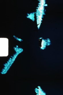 Bite Me. Once Already. Trailer
