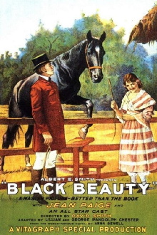 Black Beauty Trailer