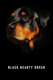 Black Beauty Breed Trailer