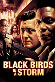 Black Birds in a Storm Trailer