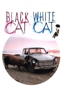 Black Cat, White Cat Trailer