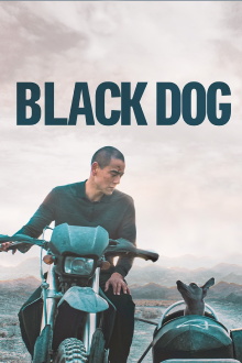 Black Dog Trailer