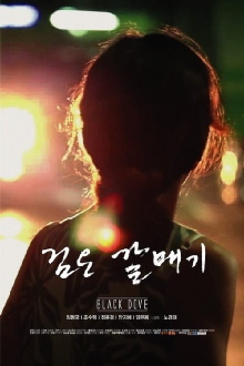 Black Dove Trailer