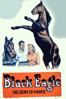 Black Eagle Trailer