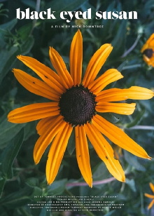 Black Eyed Susan Trailer
