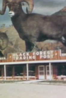 Black Forest Trading Post Trailer
