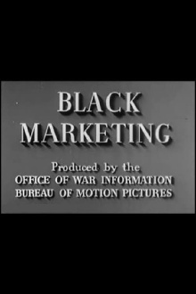 Black Marketing Trailer