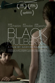 Black Mulberry Trailer