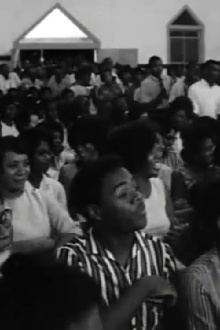 Black Natchez Trailer