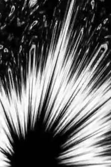 Black Noise White Silence Trailer