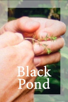 Black Pond Trailer