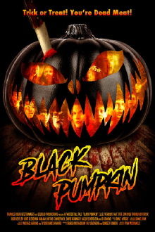 Black Pumpkin Trailer