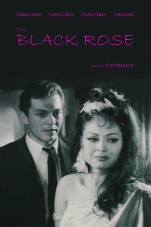 Black Rose Trailer