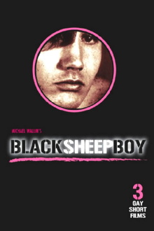 Black Sheep Boy Trailer