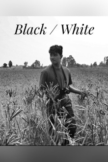 Black/White Trailer