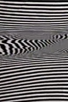 Black/White/Text Trailer