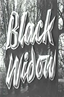 Black Widow Trailer