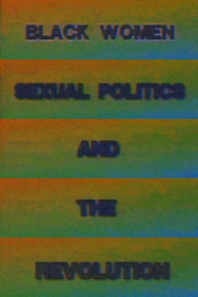 Black Women, Sexual Politics and the Revolution Trailer