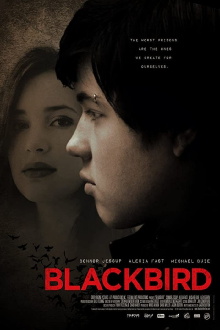 Blackbird Trailer