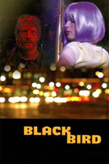 Blackbird Trailer