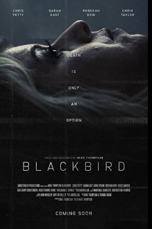 Blackbird Trailer