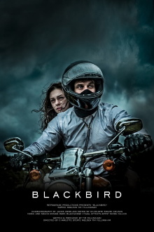 Blackbird Trailer