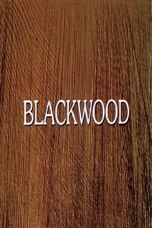 Blackwood Trailer