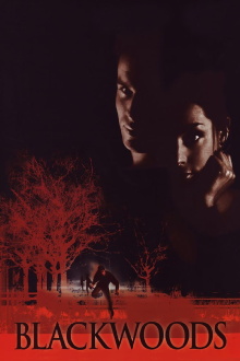 Blackwoods Trailer