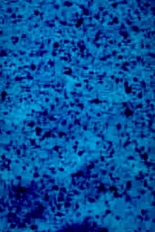BLAUFILM Trailer