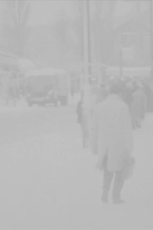 Blind White Duration Trailer