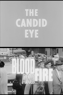 Blood and Fire Trailer