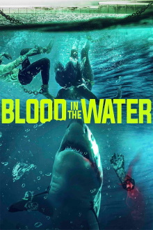 Blood in the Water Trailer