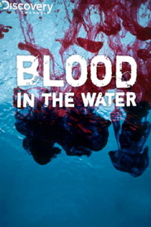 Blood in the Water Trailer