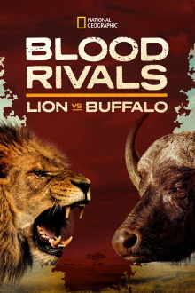 Blood Rivals: Lion vs Buffalo Trailer