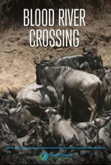 Blood River Crossing Trailer