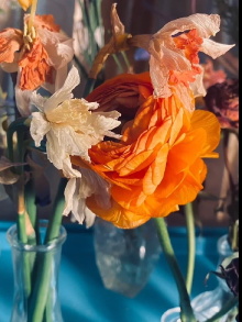 Blooming Trailer