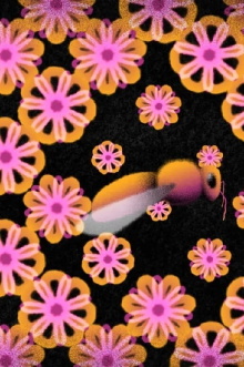 Blossom Trailer