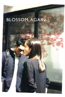 Blossom Again Trailer