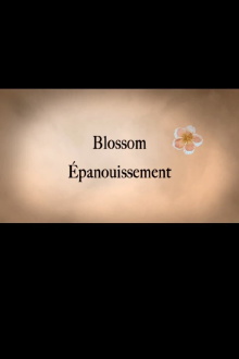 Blossom Trailer
