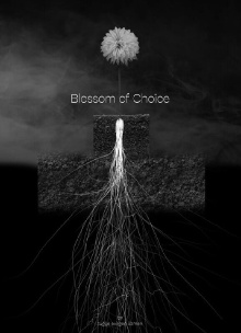 Blossom of Choice Trailer