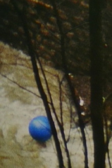 Blue Air Balloon Trailer