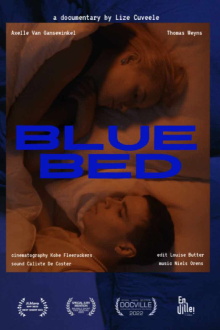 Blue Bed Trailer
