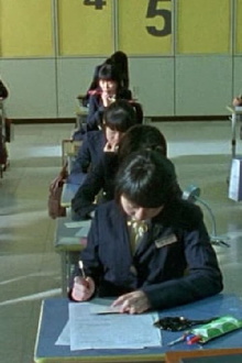 Blue Birds on the Desk Trailer