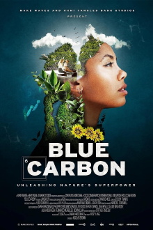 Blue Carbon Trailer