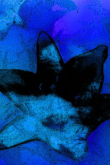 Blue Monet Trailer