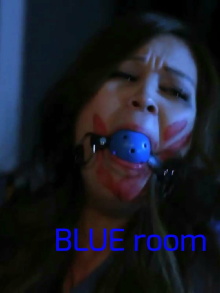 Blue Room Trailer