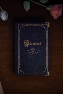 Bluebeard Trailer