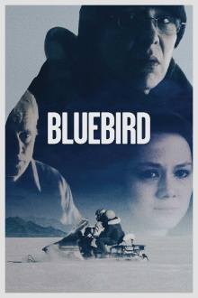 Bluebird Trailer