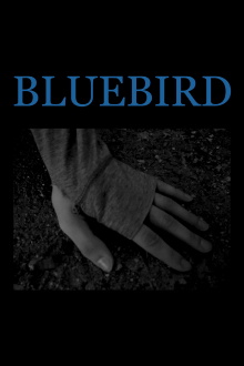 Bluebird Trailer