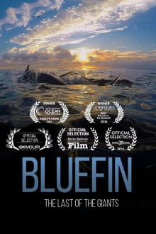 Bluefin Trailer
